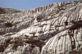 Zlebiči